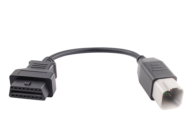 BRP -6 pin cable